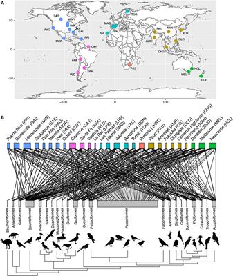 Brain Size and Life History Interact to Predict Urban Tolerance in Birds
